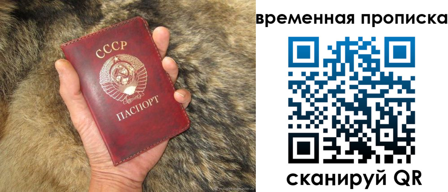 временная регистрация собственник в Великом Новгороде